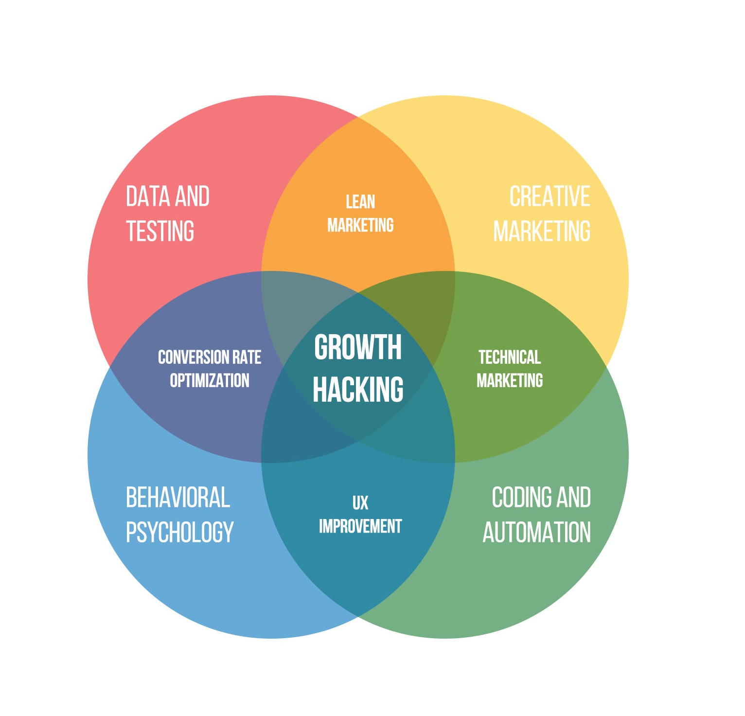 Company areas growth team intersection.